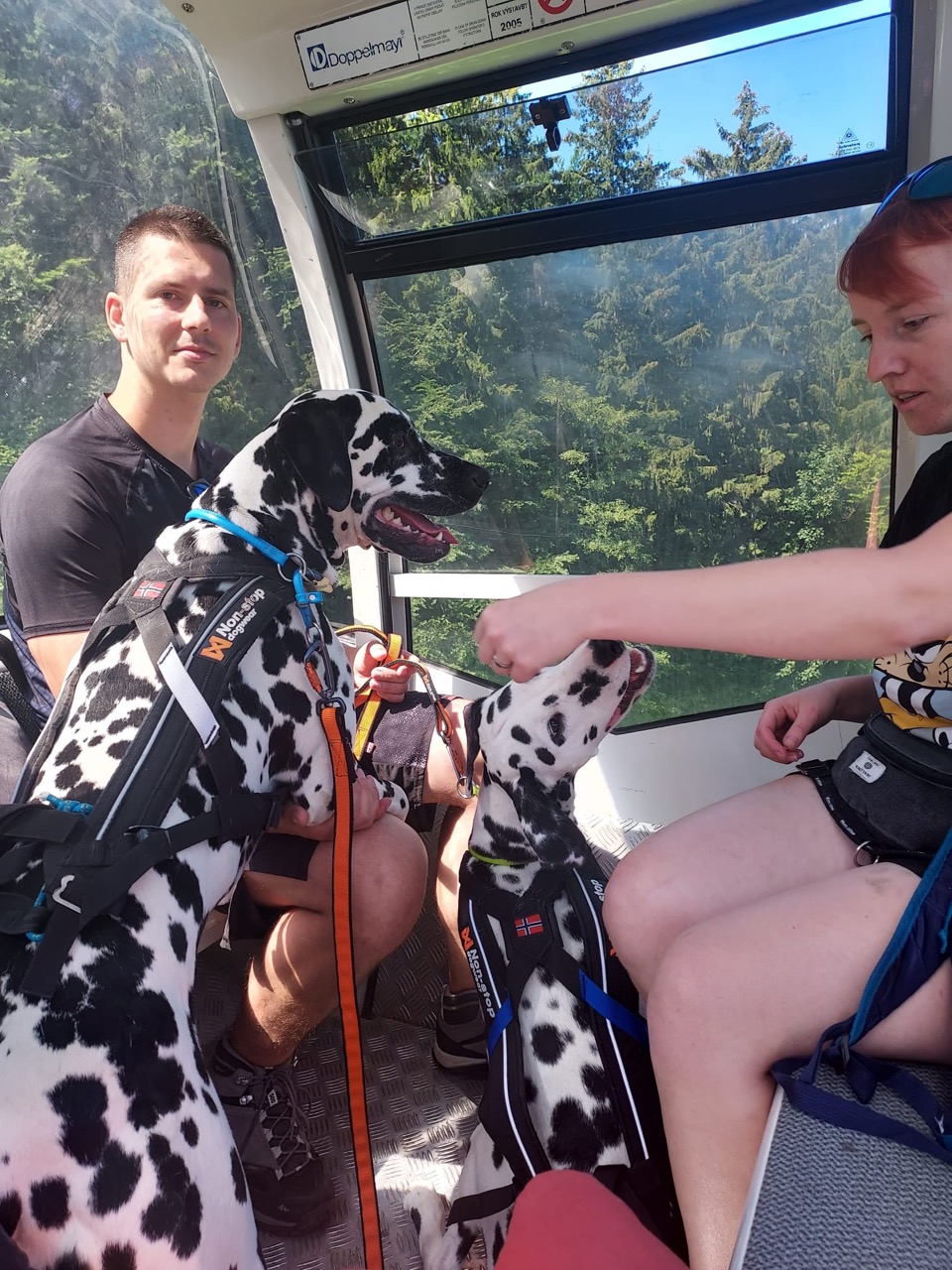 Photo - 146