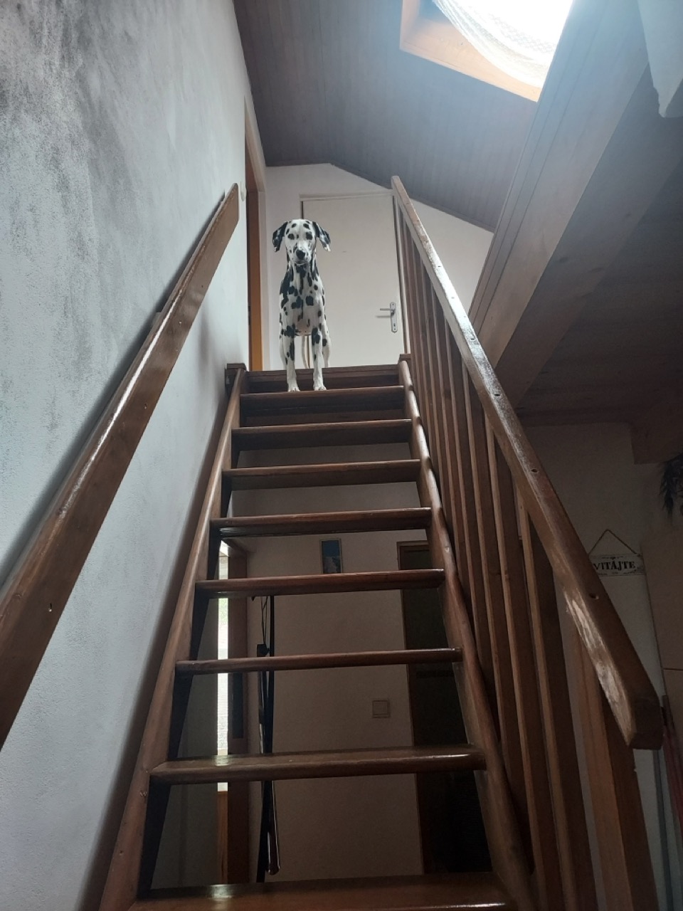 Photo - 162