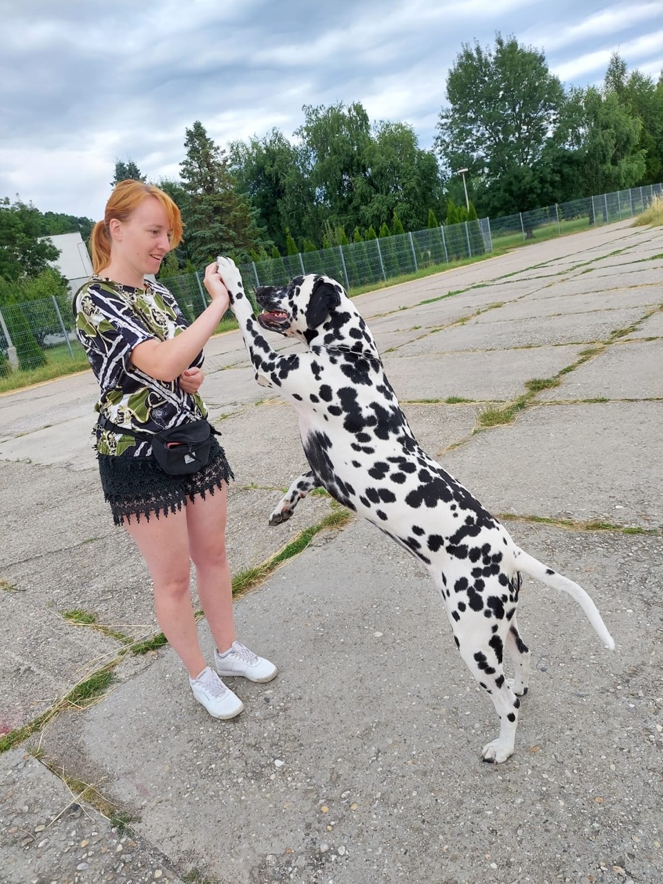 Photo - 164
