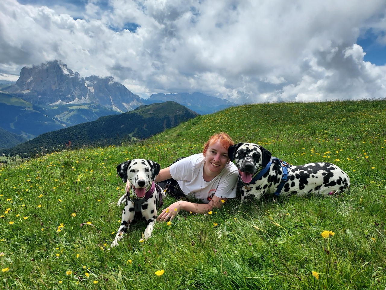 Photo - 42