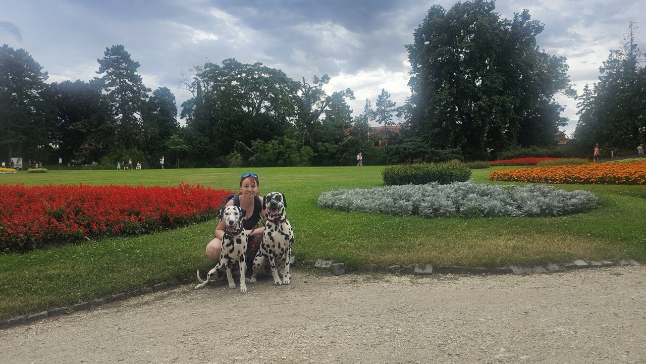 Photo - 44