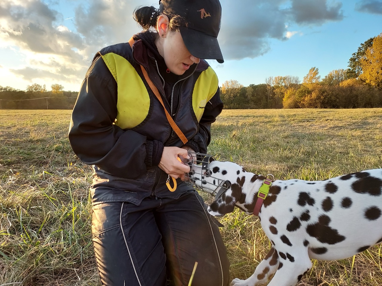 Photo - 72