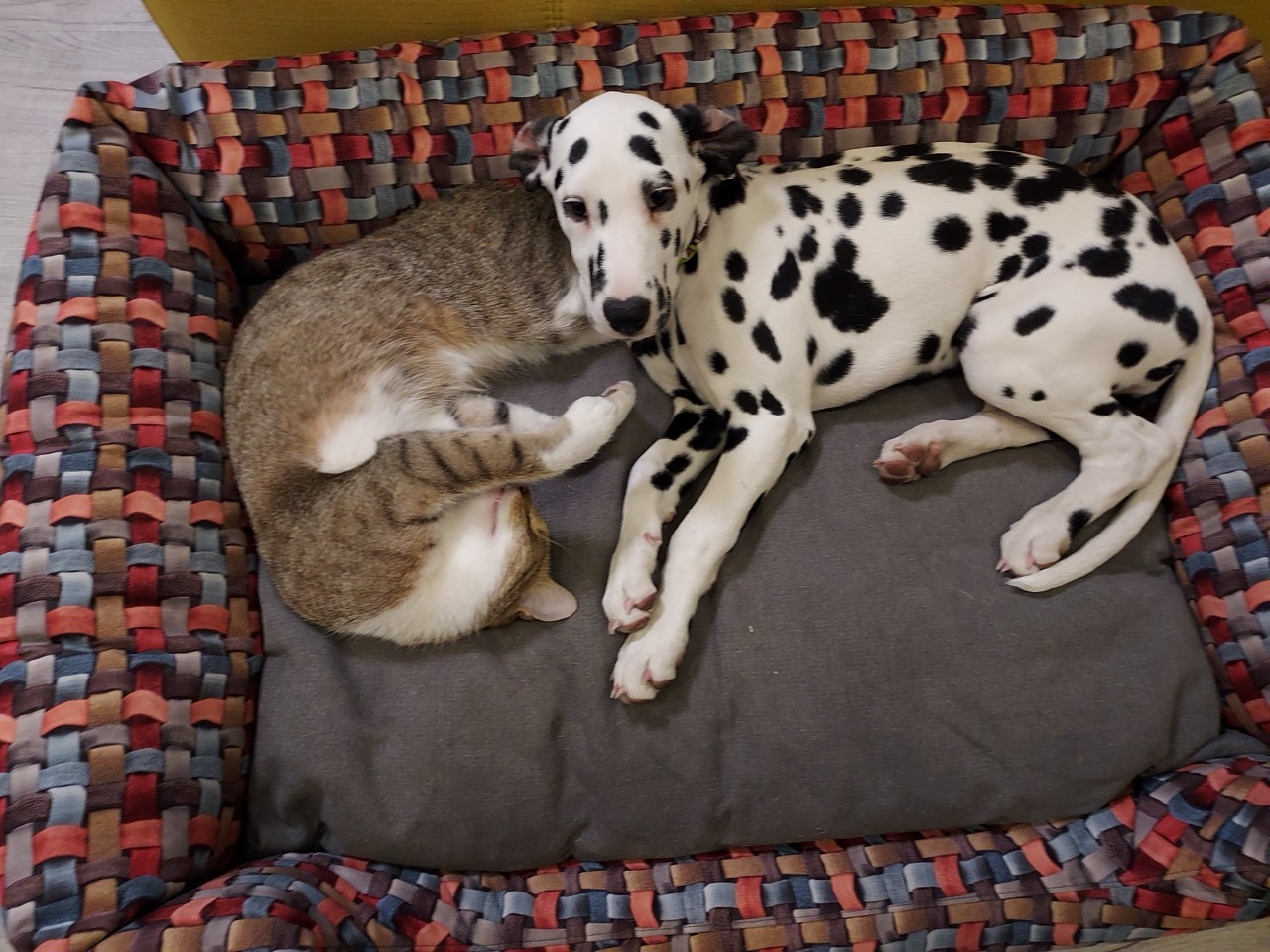 Photo - 73